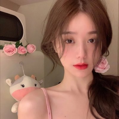 西西里著名的熊入侵事件